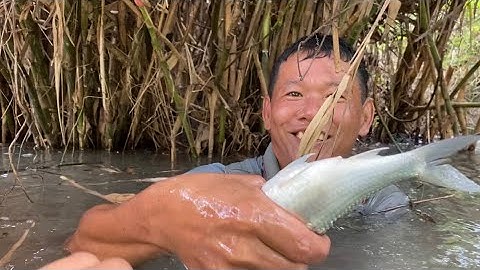 Bắt Cá Linh về Nướng Mọi Lai Rai Ngoài Vườn | Cù Lao Dung Vlogs #276