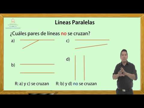 Vídeo: Què és l'estructura paral·lela?