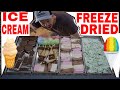 Freeze dried astronaut ice cream harvestright freeze dryer