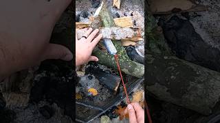 Pull Style Fire Starter