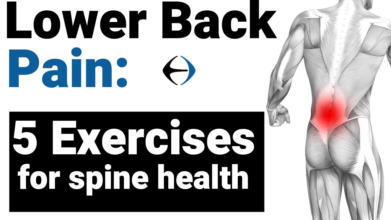 Mild, Moderate Back Pain Problem - YouTube