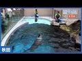 #18 男鹿水族館GAO｜海と日本PROJECT in 秋田県 の動画、YouTube動画。