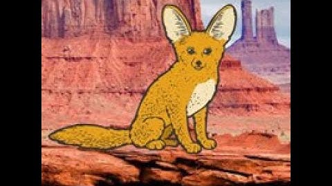 finding crazy camel video walkthrough