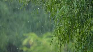 All the beauty of rain in one video and beautiful music