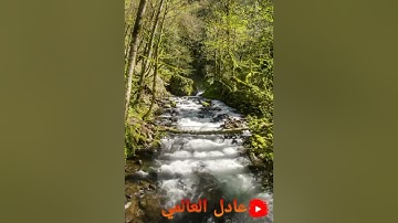 ركعة رستاوية رمضان 1443/2022 الشيخ عبد الحميد إرشاد أوائل سورة الأنعام