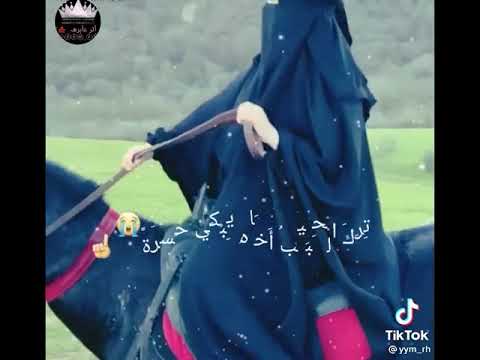 خيول تسابق خيالها