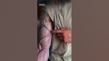 Get Veiny Arms FAST with This ONE Simple Trick