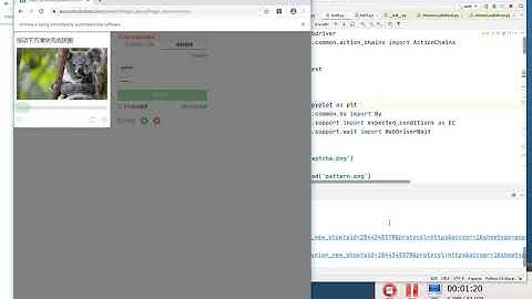 125. Python-Crawler: Auto slide Douban verification ft. Selenium,  OpenCV