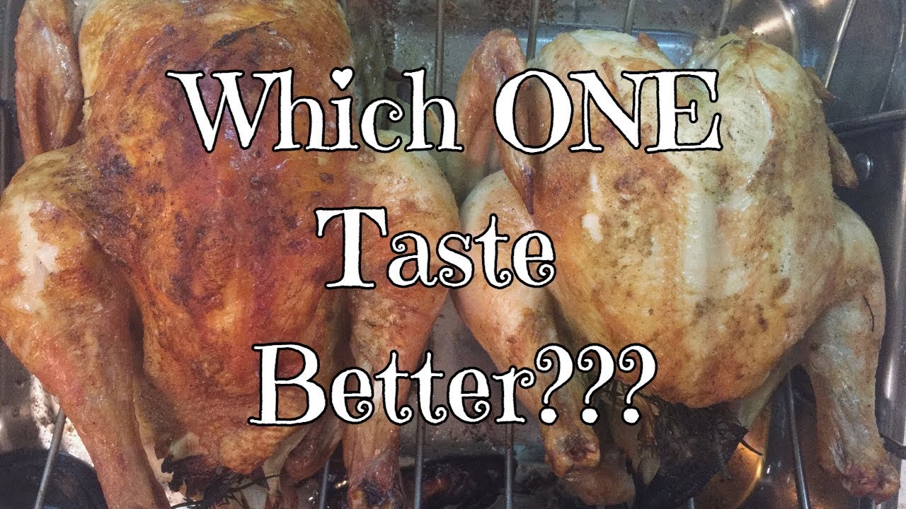 folly farm vlog Which Taste Better?? Red Ranger vs Cornish Cross Chicken