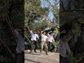 What a karuvad Song #trending  #dance #tamil #albin #dhanush #velaiillapattadhari