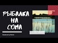 Рыбалка на сома в Казахстане р  Кигач