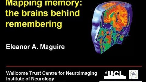 Mapping memory: the brains behind remembering