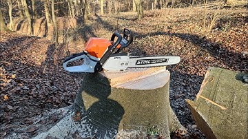 Bucking in the woods with MS 362cm