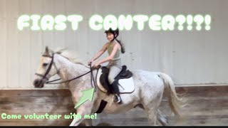 Come horse ride with me! ( FIRST CANTER?!?! )