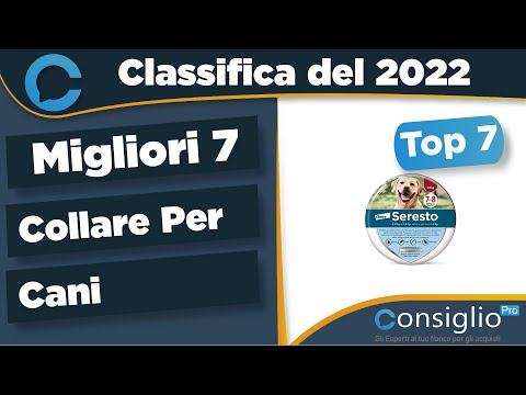 Video: Come funziona un collare gratuito?