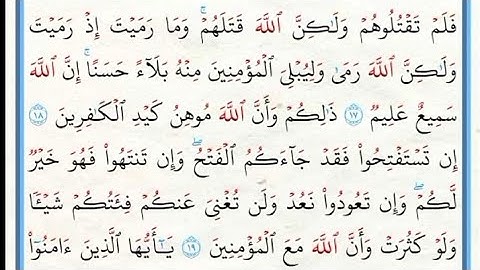 ما تيسر من سورة الأنفال ! تلاوة عطرة عذبة ! #السعودية #المدينة_المنورة #اكسبلور #yasseraldossary