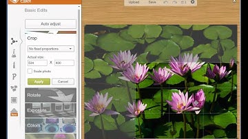 Cropping an Image Using PicMonkey