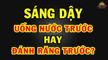 SÁNG SỚM nên UỐNG NƯỚC trước hay ĐÁNH RĂNG trước? Thực hiện đúng sẽ cực tốt cho SỨC KHỎE