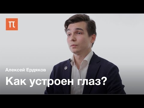 Строение и воспаления глаза — Алексей Ердяков