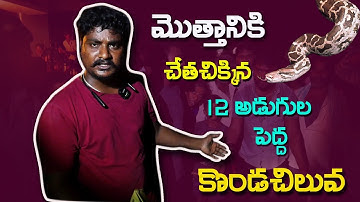 "Catching a Giant Rock Python in the Village | Thrilling Snake Rescue" #vmdl_studios #wild_venkat