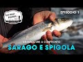 Pesca a Bolognese in mare | Grammature a Confronto | Sea Bolo Passion S3E1 | @Trabucco Fishing