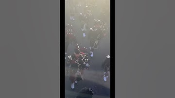 Thumbnail of 7 August 2025
