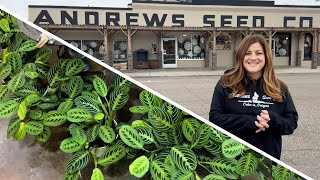 Full Garden Center Houseplant Tour! 🌿🥰// Garden Answer