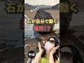 石が自分で動く謎の場所⁉︎