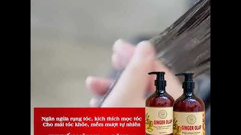 Dầu gội gừng olap kích thích mọc tóc, chống rụng, chống gàu, chiết suất 100% từ thiên nhiên