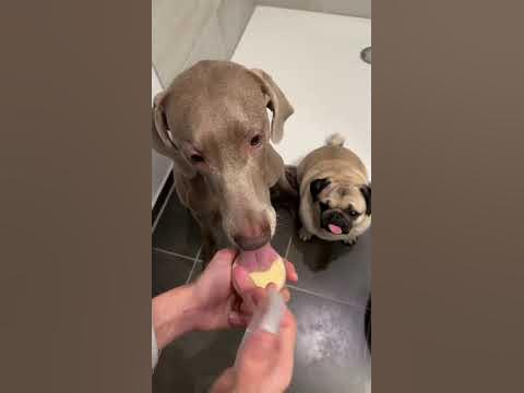 ОСКАР И ДЖОНИ ИГРАЮТ В НОВОГОДНЮЮ ИГРУ 😭😍 - YouTube