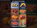 Nourish Your Body: The Best Foods That Double as Natural Medicine