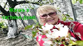 АНТОНІНА МОТОРІНА