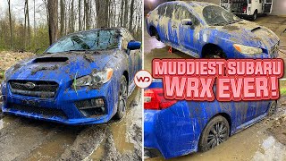 Deep Cleaning The Muddiest Subaru WRX EVER! | Insane Satisfying DISASTER Detail Transformation!