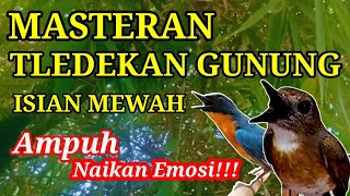 Masteran Tledekan Gunung Gacor Full Isian❗Pembangkit Emosi Kacer Tledekan Sikatan Srdc Gacor‼️