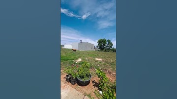 HOT:Chỉ 780 triệu có ngay 100m2 thổ cư đối diện UBND xã Phong Nẫm-Phan Thiết-bê tông 4,5m-0977901620