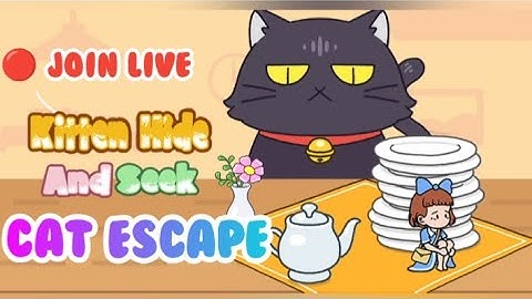 HIDE AND SEEK CAT ESCAPE live game cuy