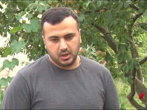 3 ოქტომბრის დღის ქრონიკა