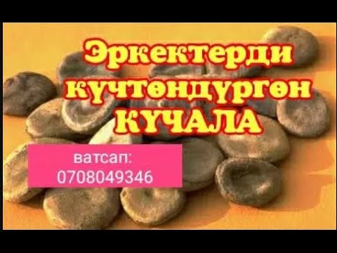 Күчала в москве цена Күчала в москве цена