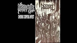 Watch Disgorge The Vile Sores In Urticariothrocisism Goulashed Decrepitance video