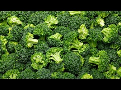 How to cut and clean Broccoli l How to cut Broccoli Head ( Florets and ...