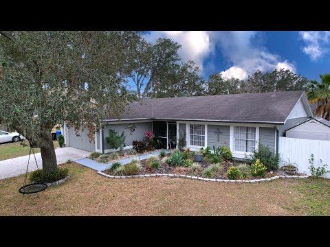 3004 Rosebud Ln, Brandon, FL home video tour
