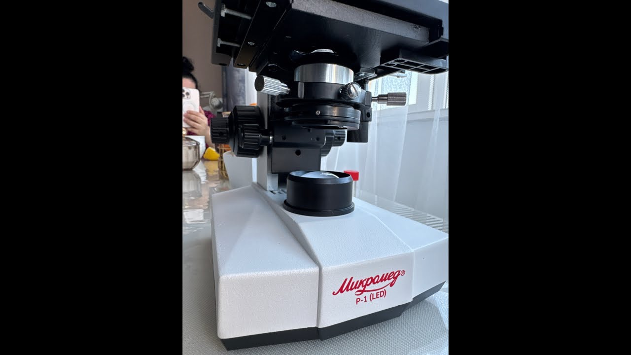 Трофейная нематода под микроскопом (Trophy nematode under a microscope)