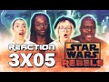 Star Wars: Rebels - 3x5 Hera&#39;s Heroes - Group Reaction