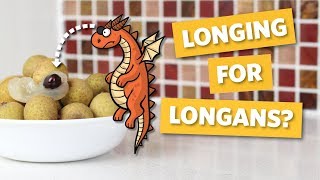 Southeast Asian Fruit Taste Test - Do Longans Taste Good?