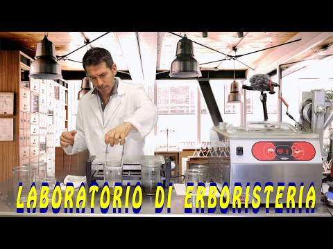 Video: Ufficio Vetrina Infuso Di Sole