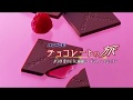 チョコレートの旅　#30 葉のように繊細に～プラフィーユショコラ