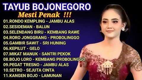 TAYUB BOJONEGORO KONCO KERJO MESTI PENAK