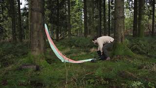 Nakie - BugNet how to set up Net Worth