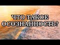 ЧТО ТАКОЕ ОСОЗНАННОСТЬ?