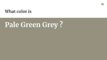 Pale Green Grey color #96907e hex color - Brown color - Cool color 96907e